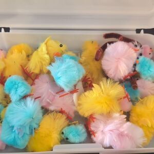 34 Baby Chicks with‎ Case Great for Craft Projects